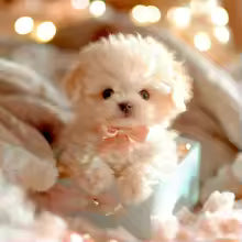 Kalbooz Lifelike Puppy Companion