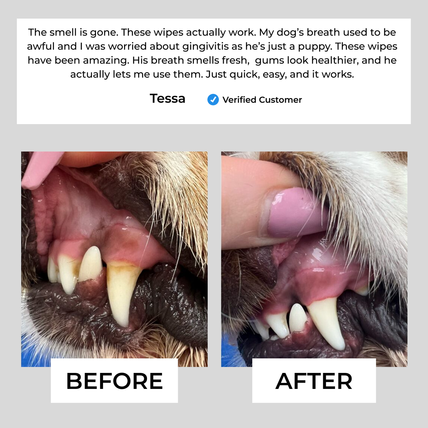 Easy Pet Dental Wipes
