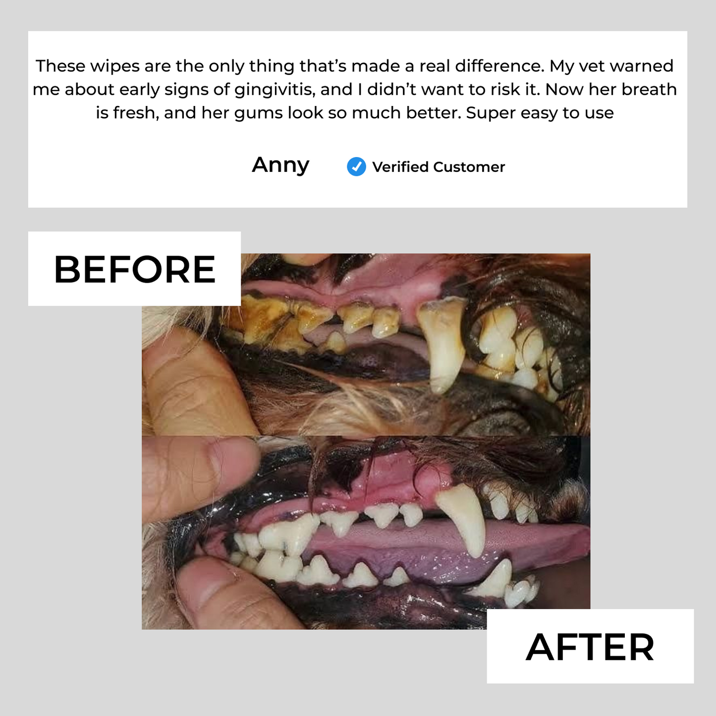 Easy Pet Dental Wipes