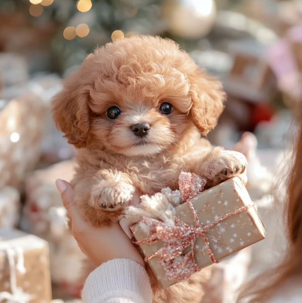 Kalbooz Lifelike Puppy Plush