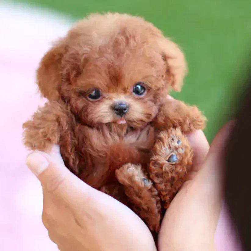 Kalbooz Lifelike Puppy Companion