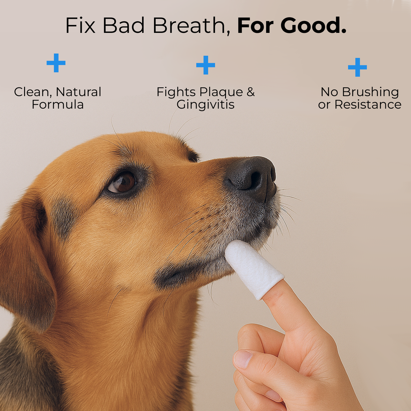 Easy Pet Dental Wipes