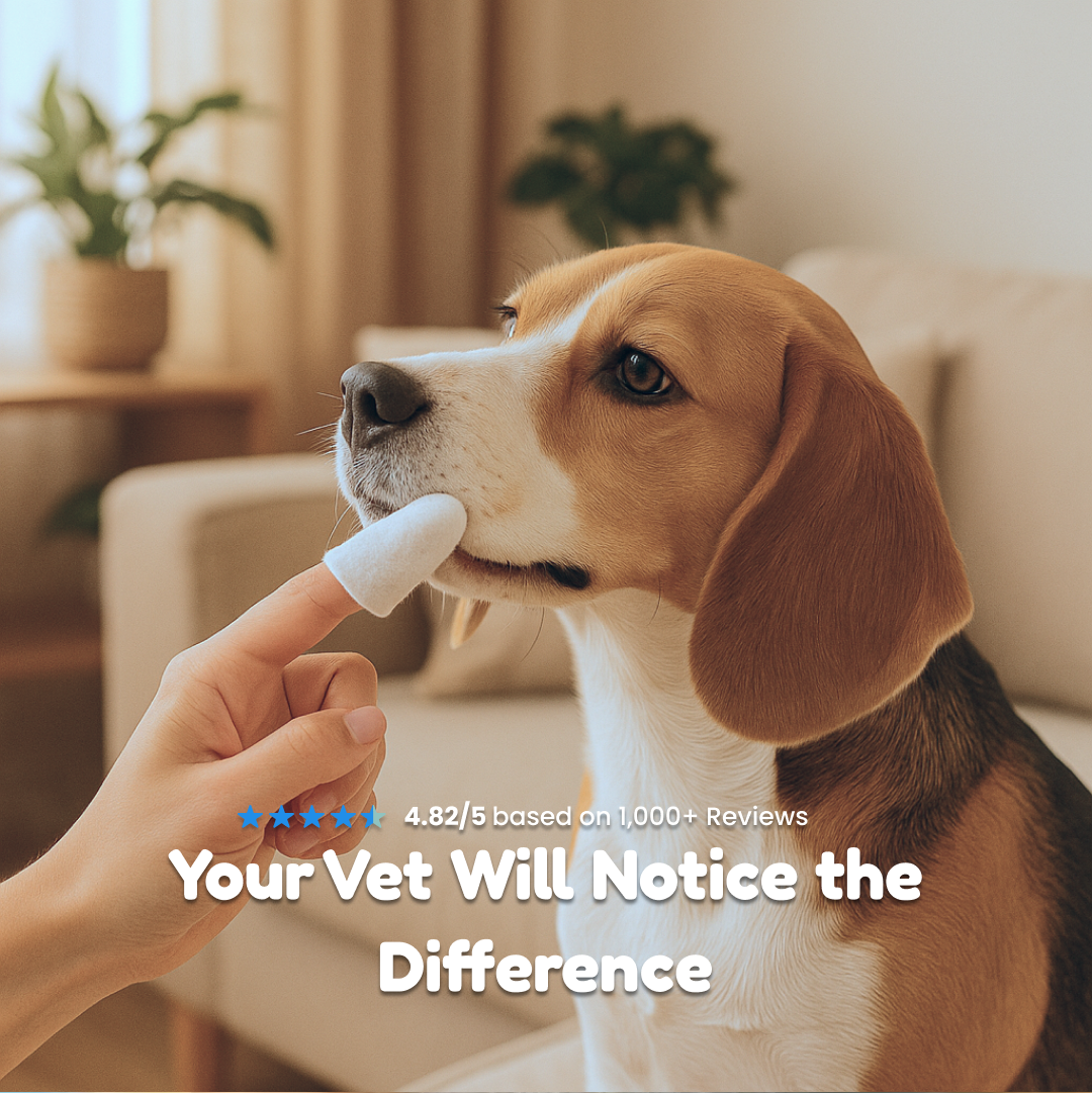 Easy Pet Dental Wipes