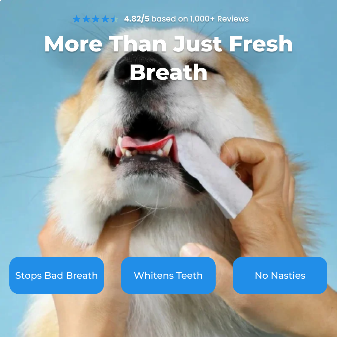 Easy Pet Dental Wipes