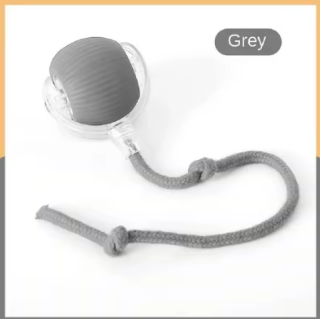 WhiskerPlay Motion Ball