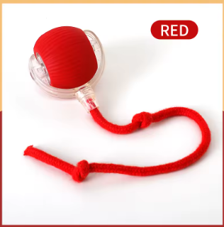 WhiskerPlay Motion Ball