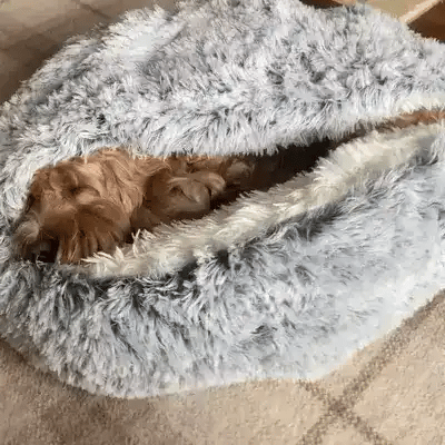 CozyNook Pet Cave Bed