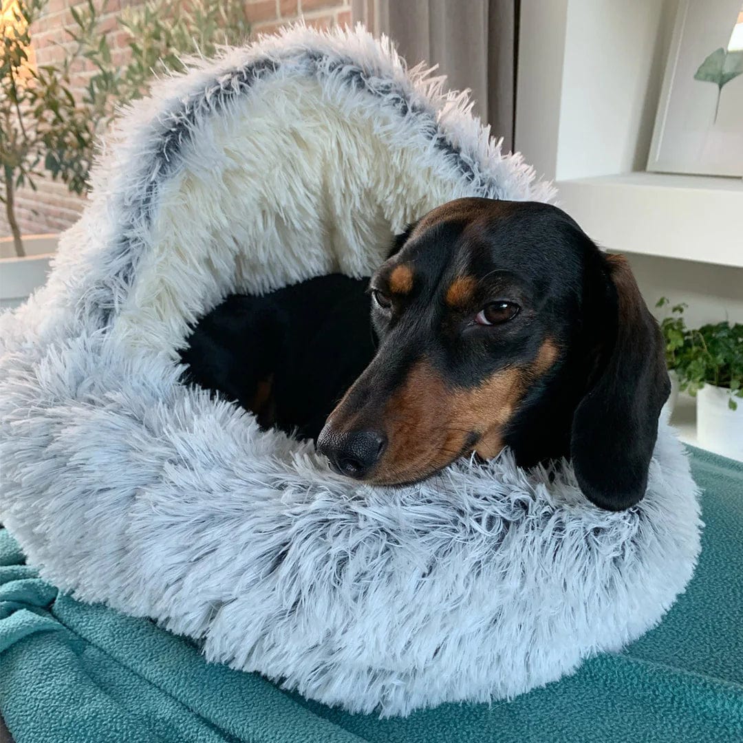 CozyNook Pet Cave Bed