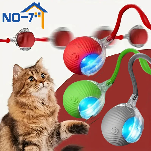 WhiskerPlay Motion Ball