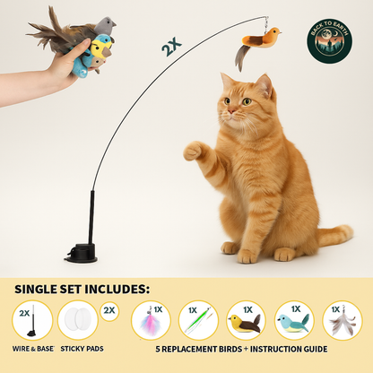 Flutter Hunt Cat Toy