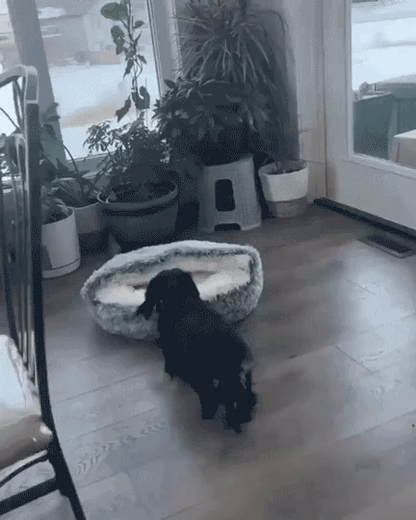 CozyNook Pet Cave Bed