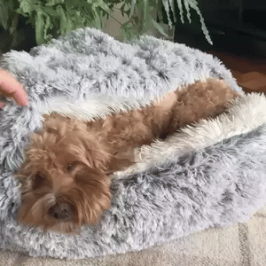 CozyNook Pet Cave Bed