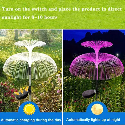 Colorful Solar Garden Lights