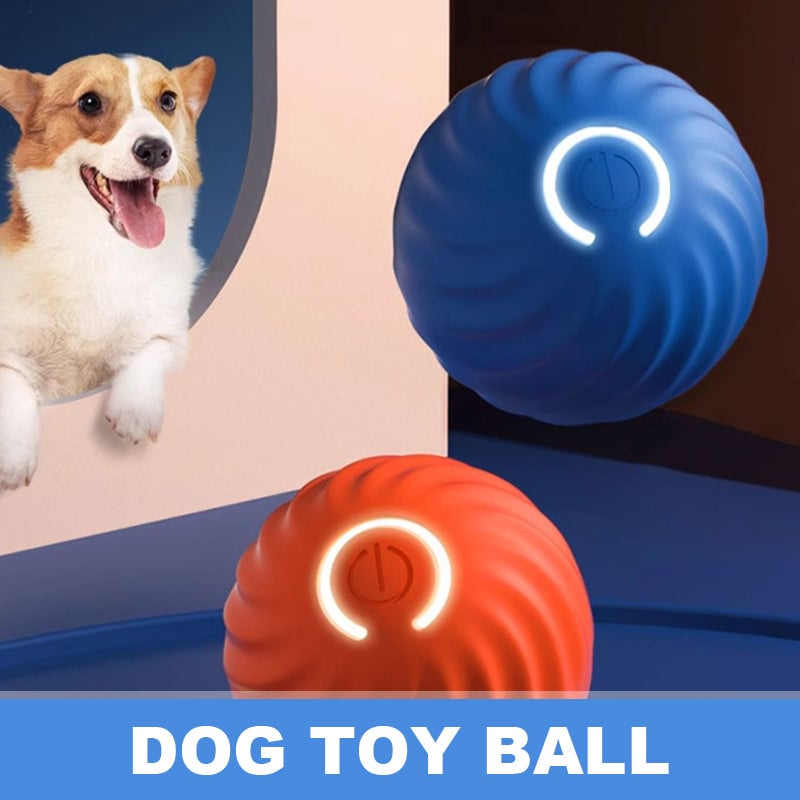 Playful Puppy Activity Ball