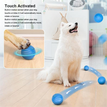 Playful Puppy Activity Ball