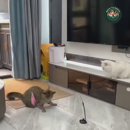 Flutter Hunt Cat Toy